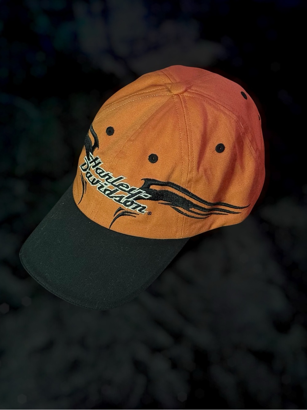 2005 harley davidson cap